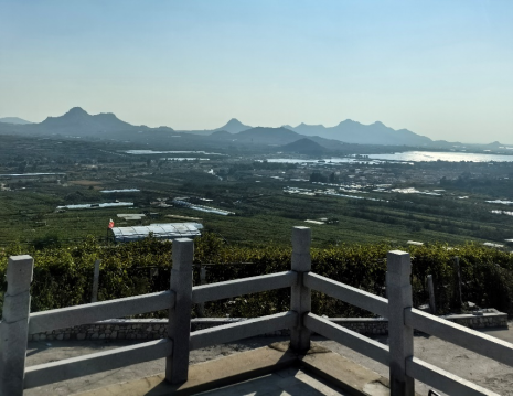 平度大澤山葡萄園引進(jìn)萊恩德土壤肥料檢測(cè)儀， 輕松掌握土壤營(yíng)養(yǎng)
